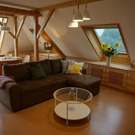 Apartment Mit Ausblick Im Dresdner Suedwesten Dresden